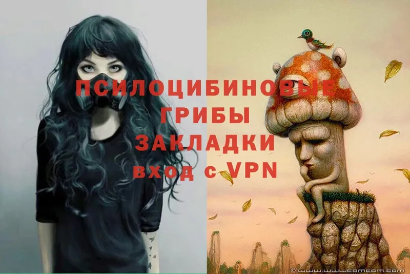 Галлюциногенные грибы Magic Shrooms  Сортавала 